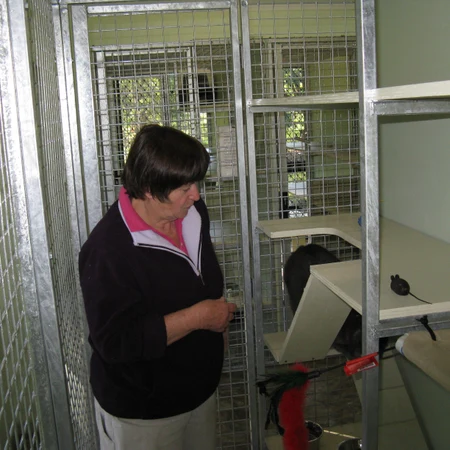 Staff member attending to a cat in its unit