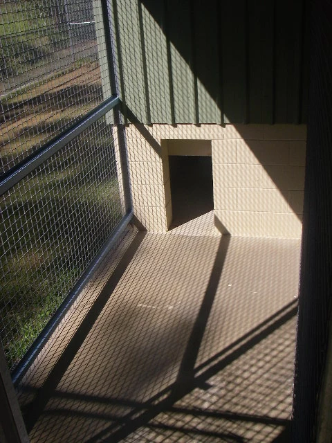Kennel day run with drop-door access to the sleeping area