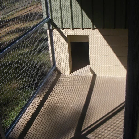 Kennel day run with drop-door access to the sleeping area