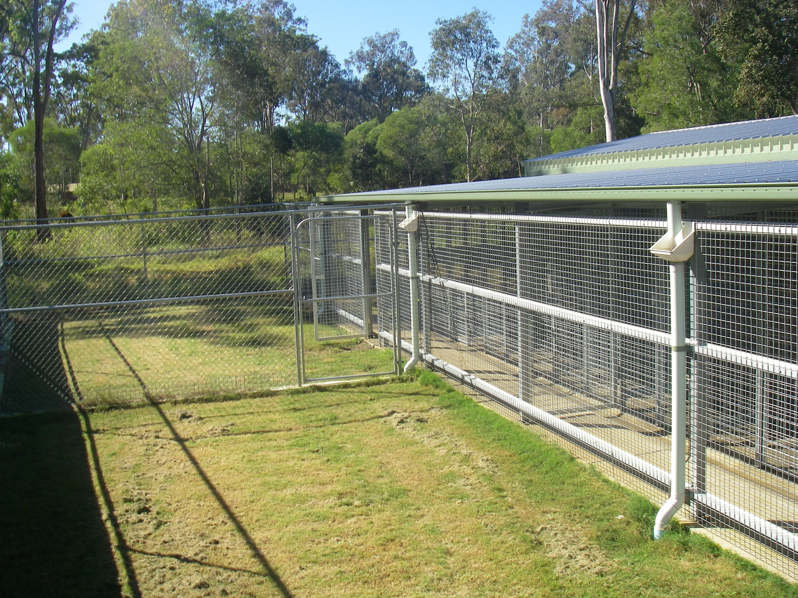 Kennel complex beside a grassy exercise area