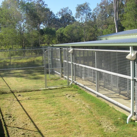Kennel complex beside a grassy exercise area