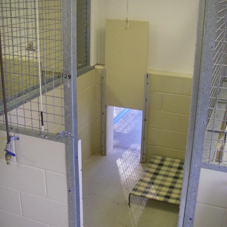 Kennel interior with a sleeping area and adjoining run