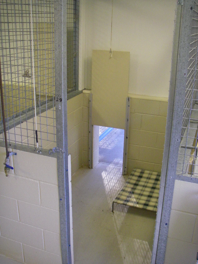 Kennel interior with a sleeping area and adjoining run